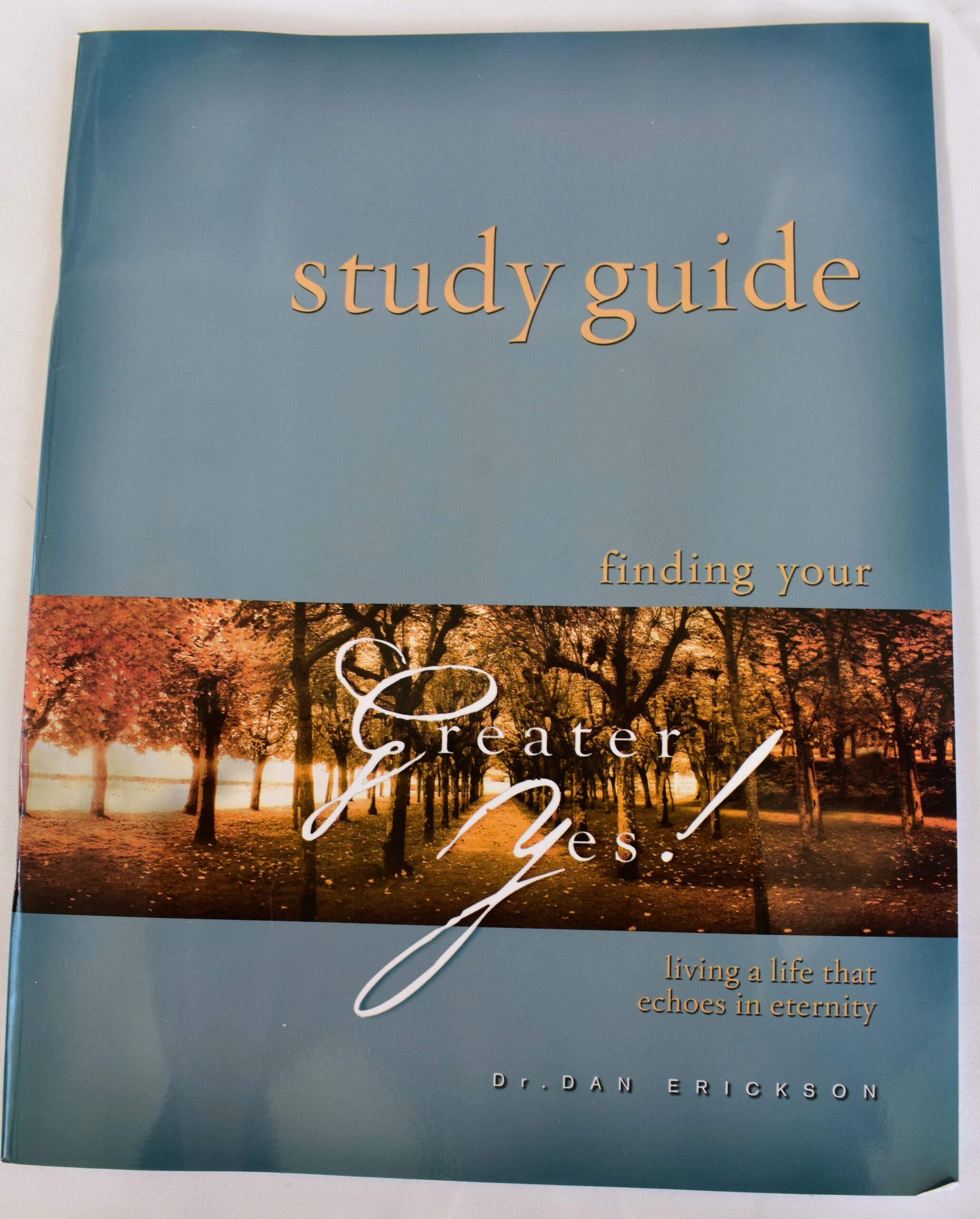 Greater Yes Study Guide 2 Finding Your Greater Yes STUDY GUIDE